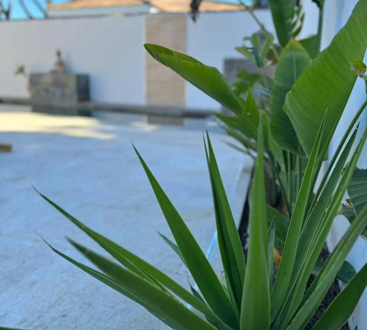 Chalet Con Piscina Chiclana de la Frontera Σπίτι διακοπών